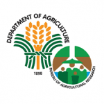Department of Agriculture-Bureau of Agricultural Research is hiring